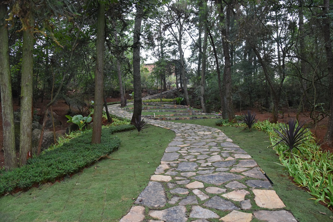 圖六，冒水洞村林間步道景觀.JPG